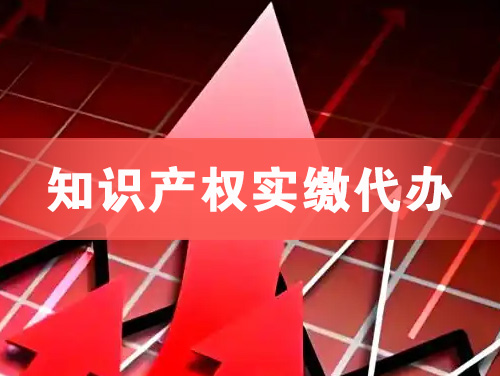 晋城知识产权实缴资本代办